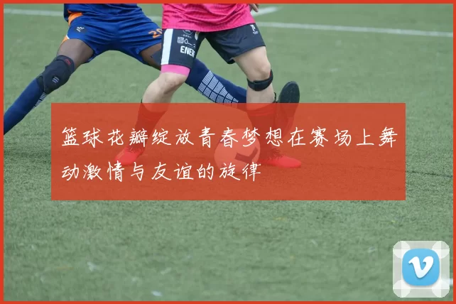 篮球花瓣绽放青春梦想在赛场上舞动激情与友谊的旋律