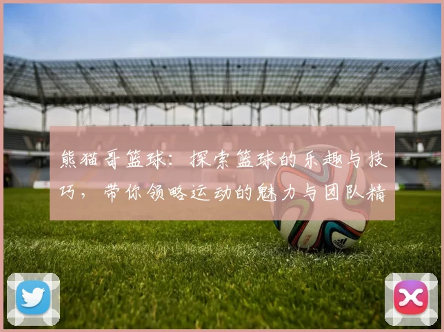 熊猫哥篮球：探索篮球的乐趣与技巧，带你领略运动的魅力与团队精神